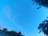 20240613060727-G0019200.JPG