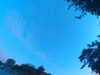20240613060742-G0019204.JPG