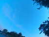 20240613060812-G0019212.JPG