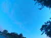 20240613060957-G0019241.JPG