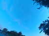 20240613061048-G0019255.JPG