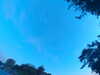 20240613061110-G0019261.JPG