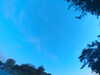 20240613061120-G0019264.JPG
