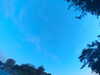 20240613061128-G0019266.JPG