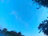 20240613061351-G0019306.JPG