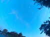 20240613061405-G0019310.JPG