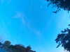 20240613061433-G0019318.JPG