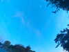 20240613061444-G0019321.JPG