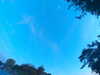 20240613061451-G0019323.JPG