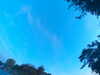 20240613061626-G0019350.JPG