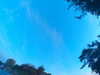 20240613061715-G0019364.JPG