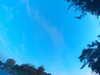 20240613061740-G0019371.JPG