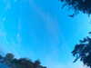 20240613061917-G0019399.JPG