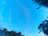 20240613061934-G0019404.JPG