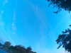 20240613062012-G0019415.JPG