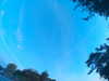 20240613062110-G0019432.JPG