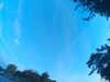 20240613062232-G0019456.JPG