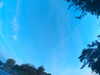 20240613062239-G0019458.JPG
