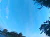 20240613062313-G0019468.JPG