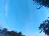 20240613062403-G0019483.JPG