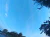 20240613062417-G0019487.JPG