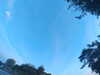 20240613062704-G0019537.JPG