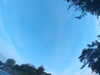 20240613063039-G0019602.JPG