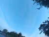 20240613063218-G0019632.JPG