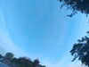 20240613063400-G0019663.JPG