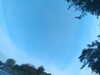 20240613063618-G0019705.JPG