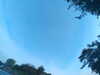 20240613063721-G0019724.JPG