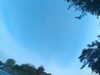 20240613063910-G0019757.JPG