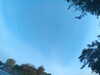 20240613064058-G0019790.JPG
