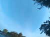 20240613064148-G0019805.JPG
