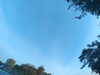 20240613064211-G0019812.JPG