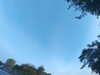 20240613064404-G0019846.JPG