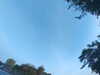 20240613064711-G0019903.JPG
