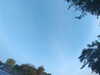 20240613064837-G0019929.JPG