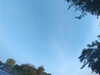20240613064844-G0019931.JPG