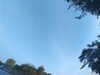 20240613064847-G0019932.JPG