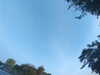 20240613064850-G0019933.JPG