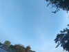 20240613064913-G0019940.JPG