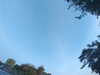 20240613064940-G0019948.JPG