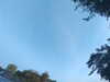 20240613065230-G0020001.JPG