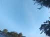 20240613065247-G0020006.JPG