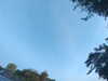 20240613065256-G0020009.JPG