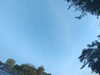 20240613065405-G0020030.JPG