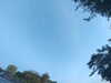20240613065444-G0020042.JPG