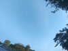 20240613065457-G0020046.JPG