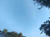 20240613065510-G0020050.JPG
